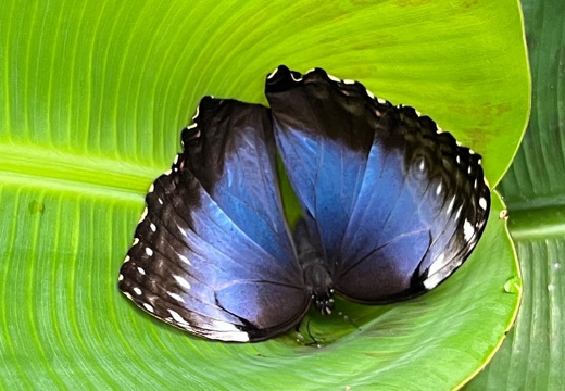 23-09-09 10-59-59 6502